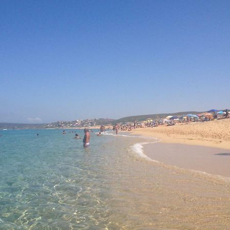 Sardegna-Ferienwohnung Mit Emotionale Meeres Blick Torre dei Corsari Exteriér fotografie